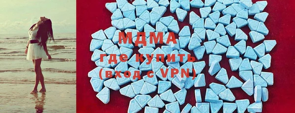 гашик Алексин